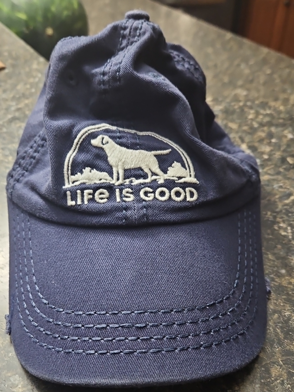 Life Is Good Navy Dog Logo Baseball Cap
